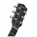 Godin Summit Classic, Havana Burst