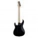 ESP E-II SN-2, Nebula Black Burst Back