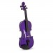 Rainbow Fantasia Purple Violin Outfit, Full Size, Front