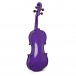 Rainbow Fantasia Purple Violin Outfit, Full Size, Back