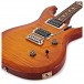 PRS S2 Custom 24, Custom Colour #S2037393