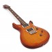 PRS S2 Custom 24, Custom Colour #S2037393