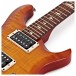 PRS S2 Custom 24, Custom Colour #S2037393