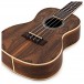 Cordoba 15CB Concert Ukulele, Bocote