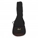 Cort SFX ME Mahogany Electro Acoustic, Natural