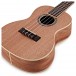 Cordoba 15CM Concert Ukulele