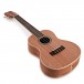 Cordoba 15CM Concert Ukulele