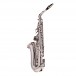 Alto Saxophone Complete Package, Nickel
