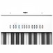Roland FP-30X Digital Piano, White, Controls