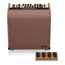 TC Helicon Harmony V100 Acoustic Amplifier