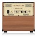TC Helicon Harmony V100 Acoustic Amplifier - Rear