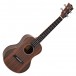 Snail UKT-E598 Tenor Ukulele, Natural