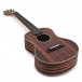 Snail UKT-E598 Tenor Ukulele, Natural