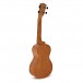 Vintage VUK30N Concert Ukulele, Natural