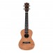 Snail SUC-M1 Concert Ukulele, Gloss