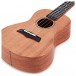 Snail SUC-M3 Concert Ukulele, Gloss