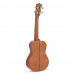 Snail SUC-M3 Concert Ukulele, Gloss