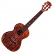 Luna Henna Dragon Mahogany Tenor Electro Ukulele w/ Gigbag - Front View