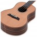 Snail BHC-6T Solid Cedar Top Tenor Ukulele