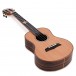 Snail BHC-6T Solid Cedar Top Tenor Ukulele