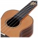 Snail BHC-6C Solid Cedar Top Concert Ukulele