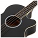 Washburn AB5 Acoustic Bass, Black