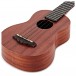 Ibanez UKS10 Soprano Ukulele, Sapele