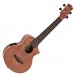 Ibanez UEW15E Electro Concert Ukulele, Open Pore Natural