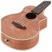 Ibanez UEW15E Electro Concert Ukulele, Open Pore Natural