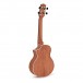 Ibanez UEW15E Electro Concert Ukulele, Open Pore Natural