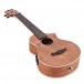 Ibanez UEW15E Electro Concert Ukulele, Open Pore Natural