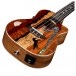 Luna Vista Stallion Concert Electro Ukulele w/ Gigbag - Body View