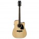 Ibanez PF15ECE Electro Acoustic 2018, Natural front view