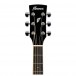 Ibanez PF15ECE Electro Acoustic 2018, Natural headstock