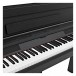 DP-12 Compact Digital Piano by Gear4music + Stool Pack, Matte Black, keyboard