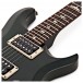 PRS S2 Custom 24, Custom Colour #S2049017