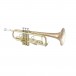 Bach Stradivarius Trumpet, LR190-43B, Lacquer, Front