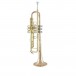 Bach Stradivarius Trumpet, LR190-43B, Lacquer, Side