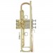 Bach Stradivarius Trumpet, LR190-43B, Lacquer, Body