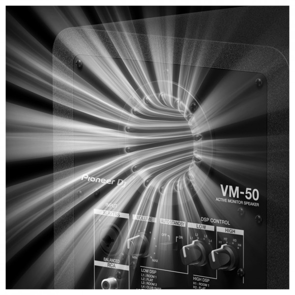Pioneer VM-50 - Port