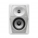 Pioneer DJ VM-50 Monitor Speaker, White (single)