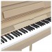 DP-12 Compact Digital Piano by Gear4music + Stool Pack, Light Oak
