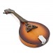 Luna Trinity A-Style Mandolin, Celtic Inlay