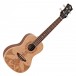 Luna Sahara Spruce Concert Ukulele