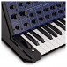 Korg MS-20, Blue