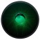 Idiopan Domina 12