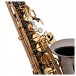 Conn-Selmer PAS380BP Premiere Alto Saxophone, Black Lacquer