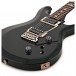 PRS S2 Custom 22, Custom Colour #S2050434