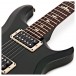 PRS S2 Custom 22, Custom Colour #S2050434