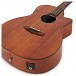 Tanglewood TW-2021 Winterleaf Electro Acoustic